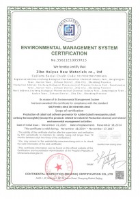 環(huán)境管理體系認(rèn)證證書(shū)-英文
